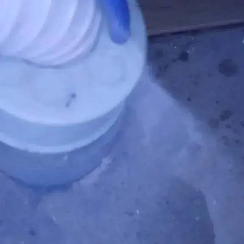 덕산면 농가 주택 외부 수돗가
